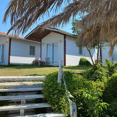 酒店 Cunda Club Sedef Island *